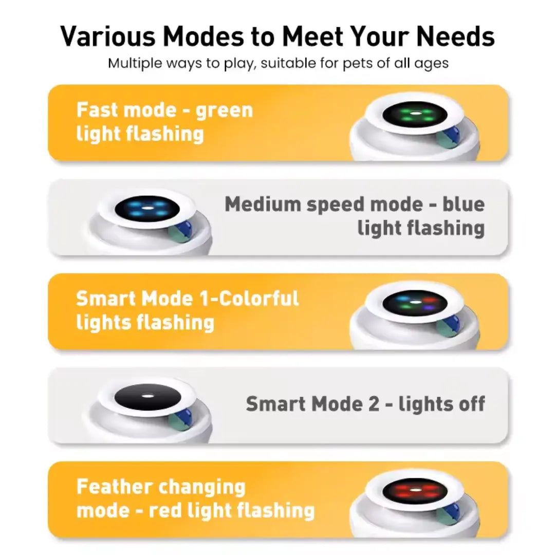 2-in-1 Interactive Cat Toy with Natural Feather and Dual Power Options 2