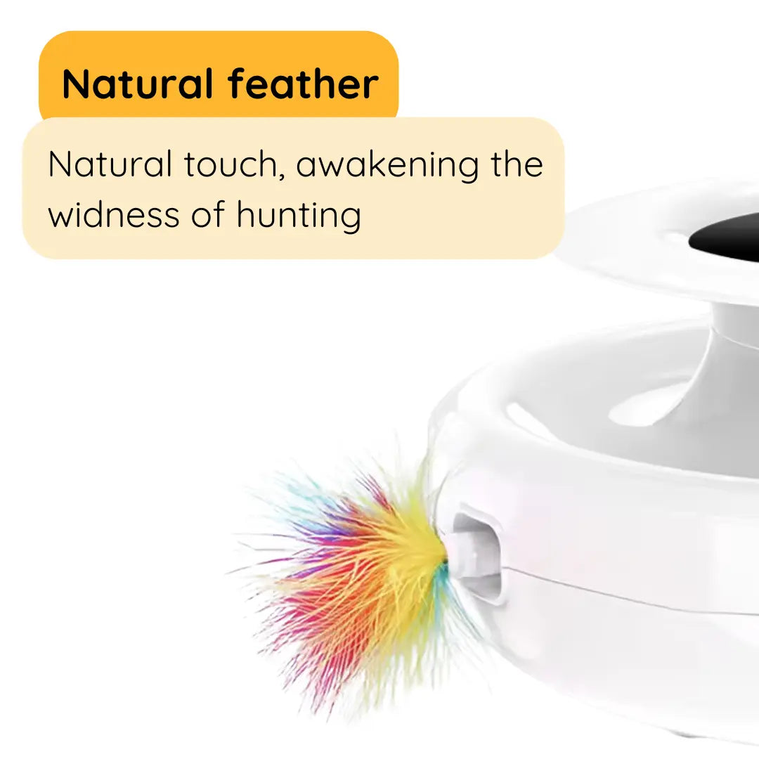 2-in-1 Interactive Cat Toy with Natural Feather and Dual Power Options 6