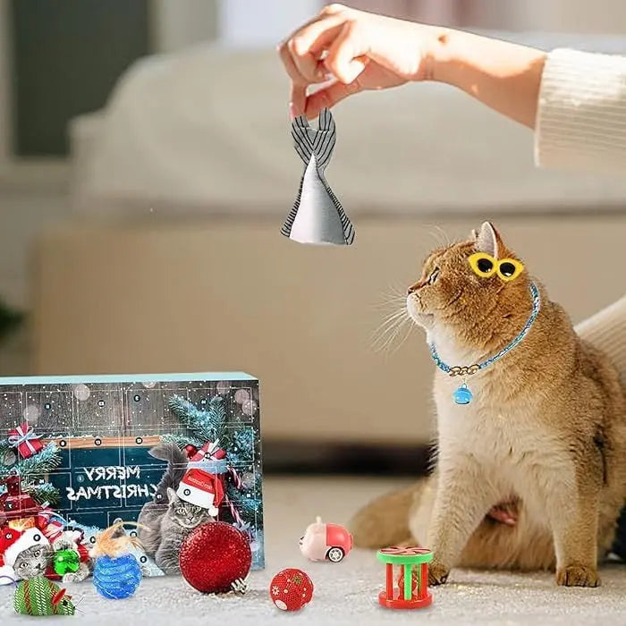 2024 Christmas Countdown Advent Calendar for Cats with 24 Unique Toys and Treats 4