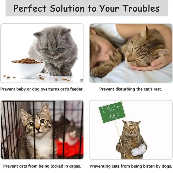 Adjustable Cat Door Holder Latch for Pet Safety – Easy Installation, Flexible Size, Pink Plastic 4