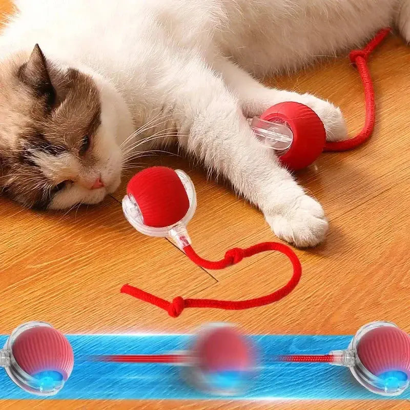 Automatic Electric Ball Cat Toy for Interactive Play – Engaging Pet Activity 1
