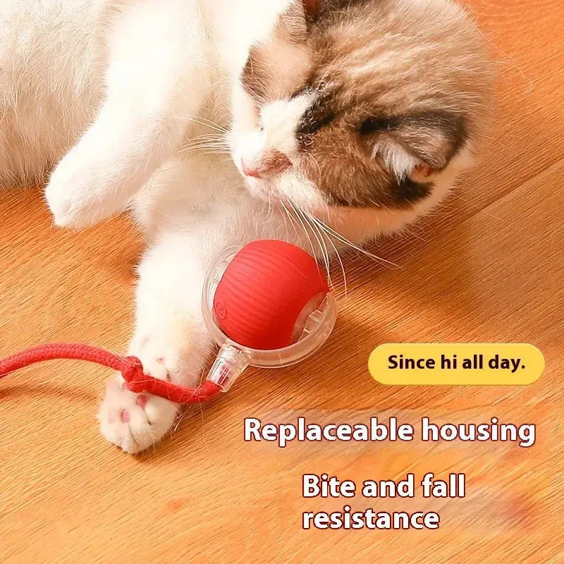 Automatic Electric Ball Cat Toy for Interactive Play – Engaging Pet Activity 2
