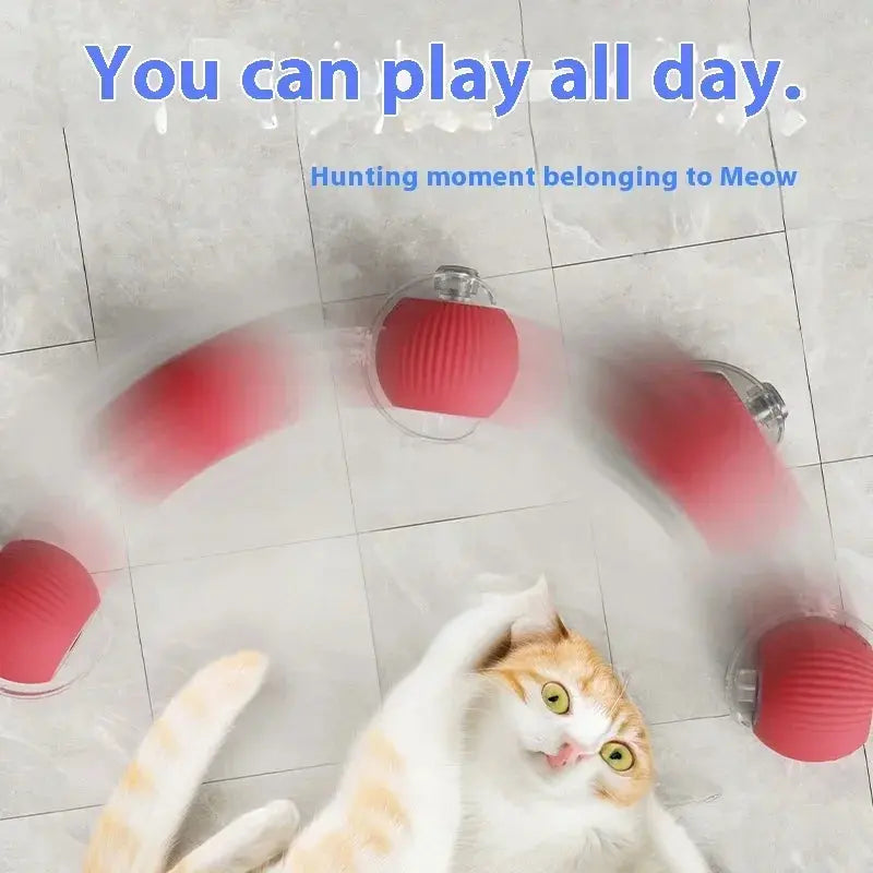 Automatic Electric Ball Cat Toy for Interactive Play – Engaging Pet Activity 3
