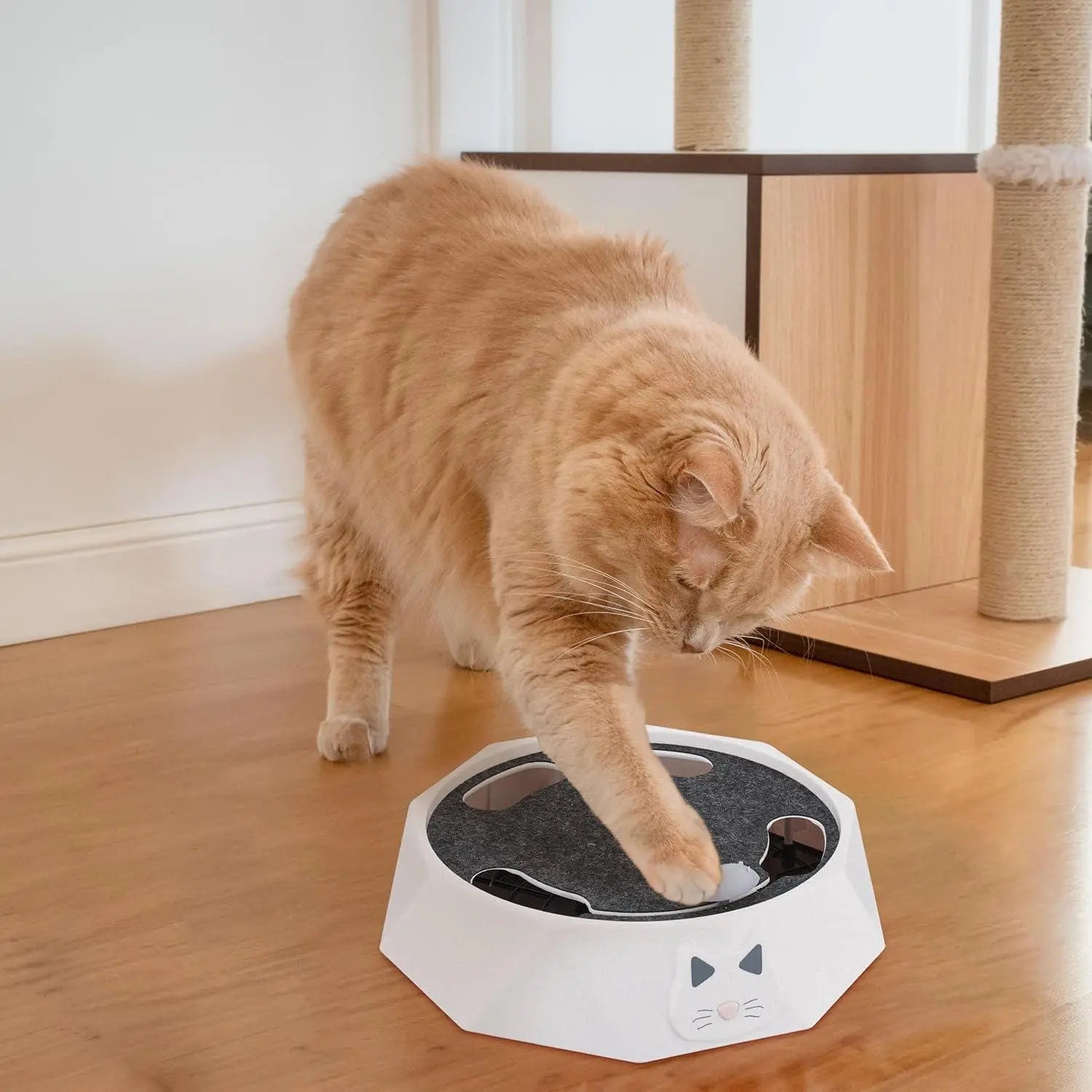 Interactive Cat Mouse Toy with Realistic Movements for Engaging Playtime 2